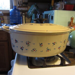 Le Creuset Petite Fruit Signature Enameled Cast Iron Oval Dutch Oven 5 QT