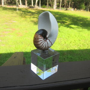 Snail Shell Art Sculpture